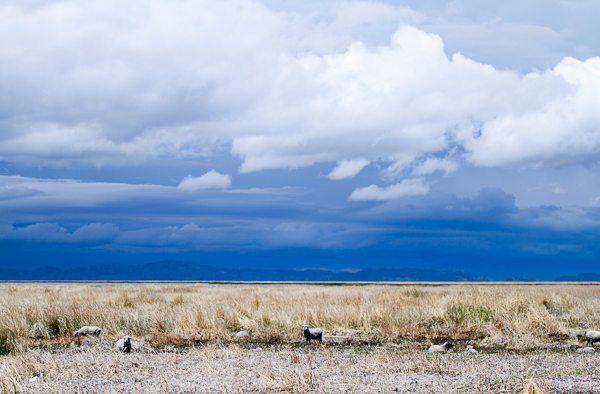 Cayaking Lake Titicaca: Amantani Island, Puno: 