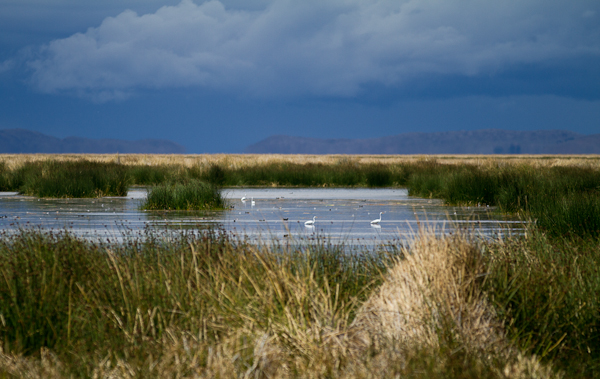 Cayaking Lake Titicaca: Amantani Island, Puno: 