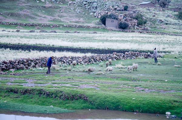 Lima, Peru: Lima City Tour