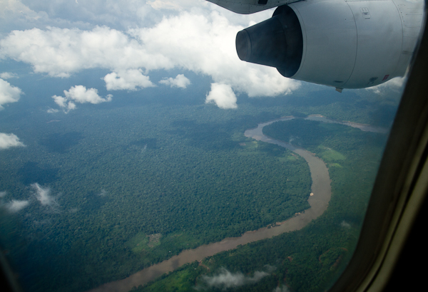 Amazon rainforest:     