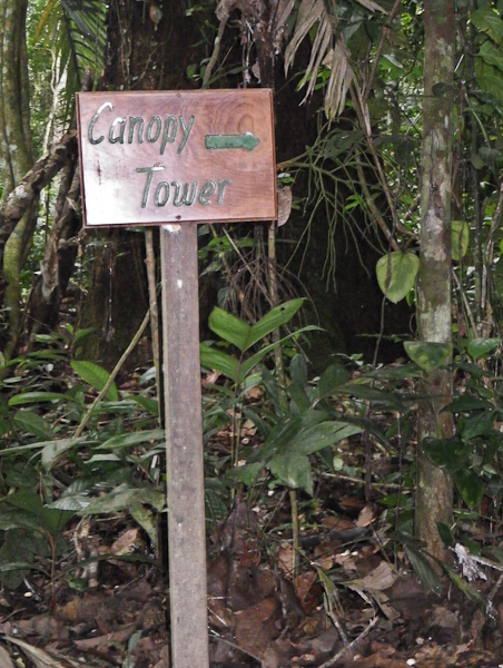Refugio Amazonas, jungle lodge:    