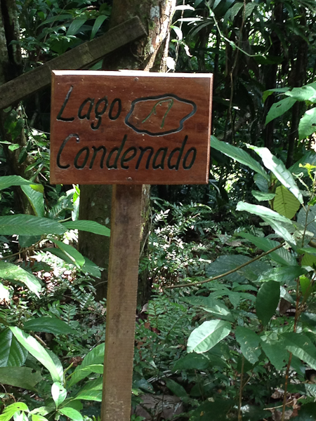 Refugio Amazonas, jungle lodge:    