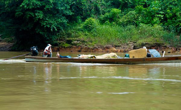 Amazon jungle adventure:    