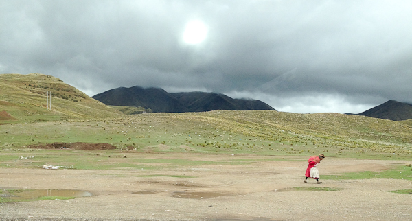 Through the Alto Plano: From Cusco to Puno:    